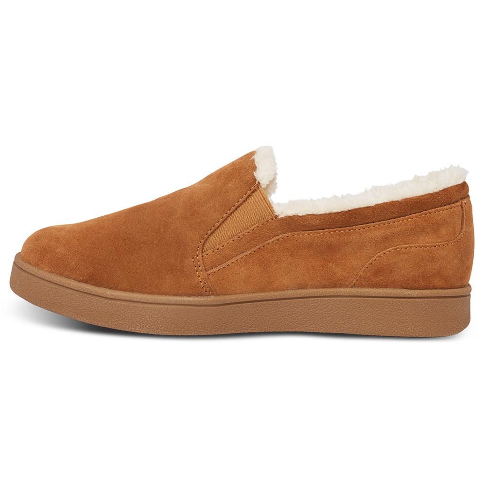 M018_Camel_2