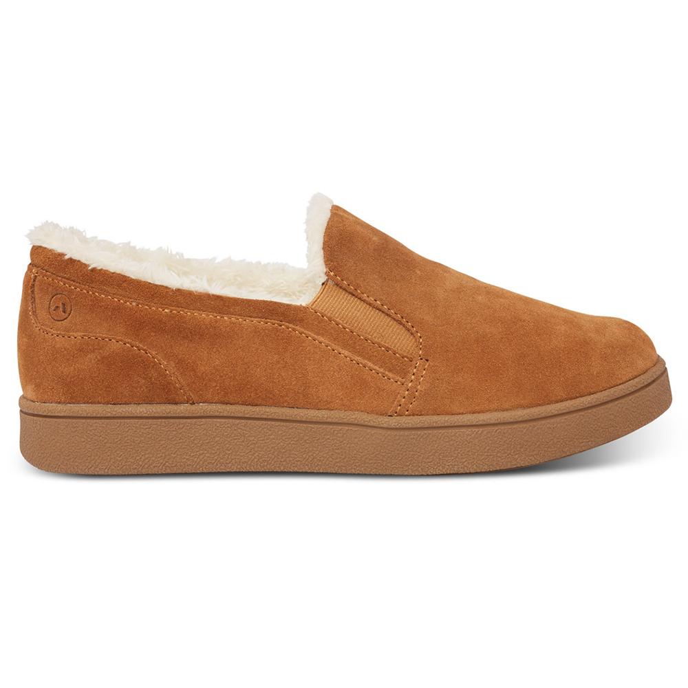 M018_Camel